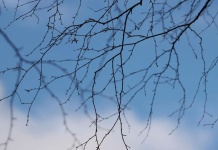 Valle del Aconcagua se prepara para recibir su cuarto Seminario de Turismo Sostenible