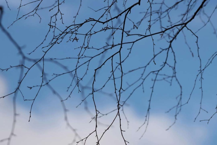 Valle del Aconcagua se prepara para recibir su cuarto Seminario de Turismo Sostenible