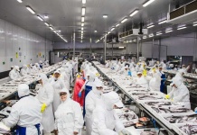 Veda de la Merluza: “Cuidar el recurso es cuidar nuestra fuente de trabajo