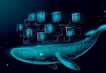 WhiteCruiser se actualiza para soportar Kubernetes v1.33 y refuerza su capacidad en entornos Cloud Native
