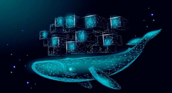 WhiteCruiser se actualiza para soportar Kubernetes v1.33 y refuerza su capacidad en entornos Cloud Native