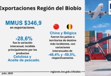 Exportaciones de la Región del Biobío disminuyeron 28,6% interanualmente Exportaciones de la Región del Biobío disminuyeron 28,6% interanualmente