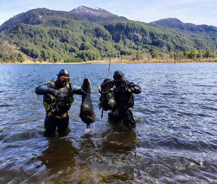El imparable trabajo de Fundación Aguas Claras para limpiar los ríos y lagos de la Patagonia