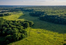 Arcadis impulsa la resiliencia climática y acompaña a la industria en su transición hacia una minería sostenible