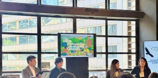 Chile y Colombia lanzan "Salvaguardas para Transición Energética Justa" para protección ecosistemas y comunidades frente a implementación de proyectos