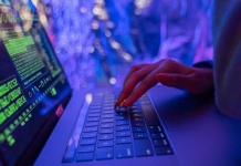 Ciberseguridad en alza empresa global crece 30% en América Latina y fortalece su presencia regional