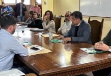 Comisión Ambiental de Los Ríos aprobó proyecto Parque Eólico Ovejera Sur con inversión de USD $280 millones en el territorio