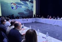 Consejo del Salmón participó en 4ta sesión del Plan Salmón 2050 en Punta Arenas 