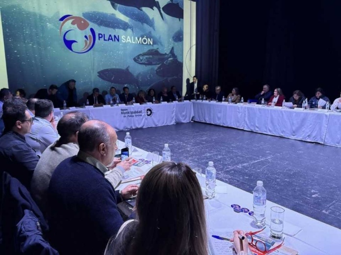Consejo del Salmón participó en 4ta sesión del Plan Salmón 2050 en Punta Arenas 