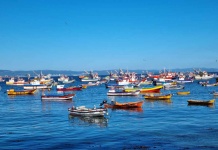 Desigualdad en la pesca artesanal plantea desafíos para avanzar en equidad y sostenibilidad del sector