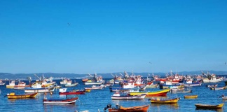 Desigualdad en la pesca artesanal plantea desafíos para avanzar en equidad y sostenibilidad del sector