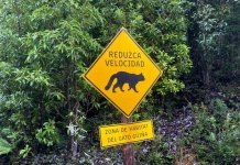 Día Nacional del Medio Ambiente: Desde la paradoja de Tantauco a la coexistencia sistémica