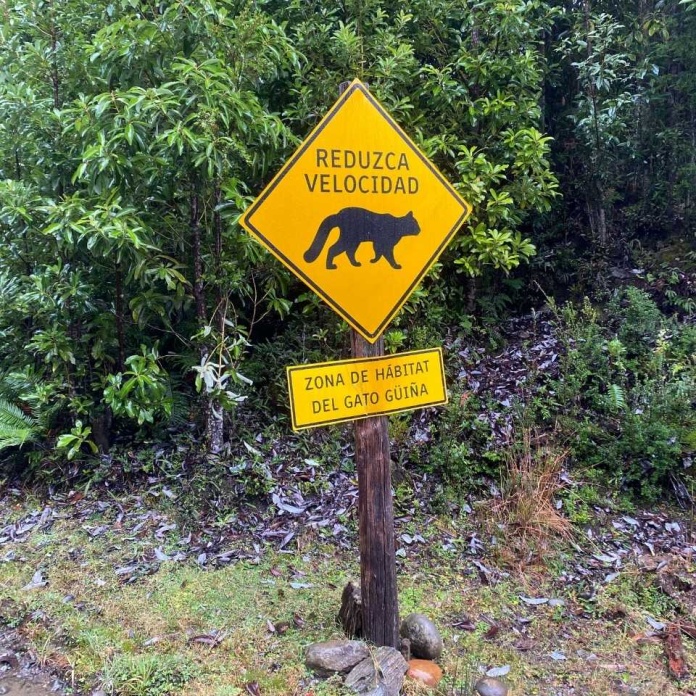 Día Nacional del Medio Ambiente: Desde la paradoja de Tantauco a la coexistencia sistémica