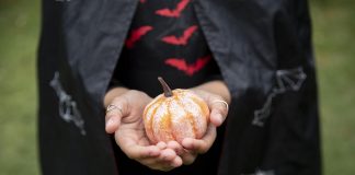 Disfruta Halloween de manera eco amigable con estos sencillos consejos