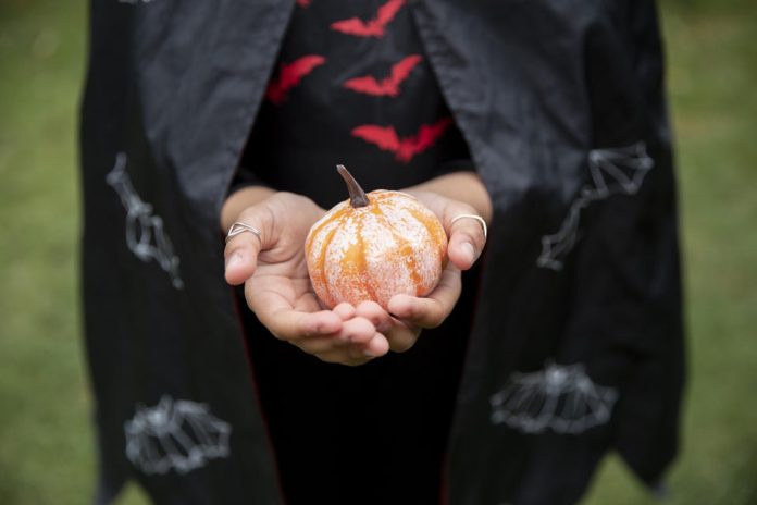 Disfruta Halloween de manera eco amigable con estos sencillos consejos Disfruta Halloween de manera eco amigable con estos sencillos consejos