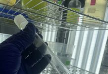 Investigación estudia respuestas toxicológicas de microalga expuesta a nanopartículas de dióxido de titanio