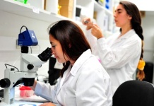 UST se adjudica proyecto InES I+D para potenciar competencias institucionales en innovación