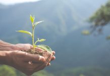 Día Internacional contra el Cambio Climático: Los avances hacia la carbono neutralidad y el nuevo estándar de responsabilidad corporativa