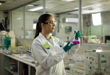 Nutrición vegetal: ¿Qué hay detrás de la productividad agrícola?