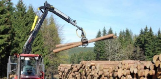 PYMES forestales en riesgo por aranceles de EE.UU.