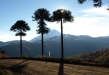 Plan Nacional de Infraestructura contempla una cartera inicial de 376 proyectos en la provincia de Arauco Plan Nacional de Infraestructura contempla una cartera inicial de 376 proyectos en la provincia de Arauco