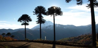 Plan Nacional de Infraestructura contempla una cartera inicial de 376 proyectos en la provincia de Arauco