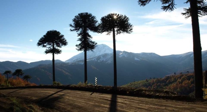 Plan Nacional de Infraestructura contempla una cartera inicial de 376 proyectos en la provincia de Arauco