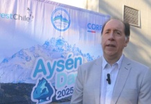 Presidente de Emporcha encabezará la Asociación de Puertos de la Zona Sur Austral