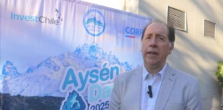 Presidente de Emporcha encabezará la Asociación de Puertos de la Zona Sur Austral