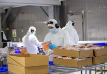 Salmones Camanchaca certificada Zero Waste en tres instalaciones estratégicas