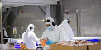 Salmones Camanchaca certificada Zero Waste en tres instalaciones estratégicas