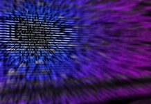 Skillnest ofrecerá jóvenes capacitados en programación a las empresas para enfrentar el déficit de esta especialidad en el país