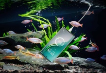 Tecno Camon 40 Pro: protección IP68/IP69 que marca diferencias en cualquier situación