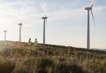 COP 30: A. Latina y el Caribe mantiene ndesafíos estructurales que limitan su transición energética