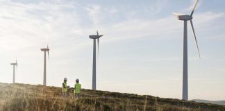 COP 30: A. Latina y el Caribe mantiene ndesafíos estructurales que limitan su transición energética