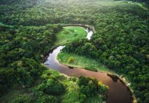 Arcadis reafirma su compromiso global con la sostenibilidad en la COP30