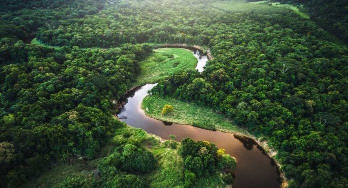 Arcadis reafirma su compromiso global con la sostenibilidad en la COP30