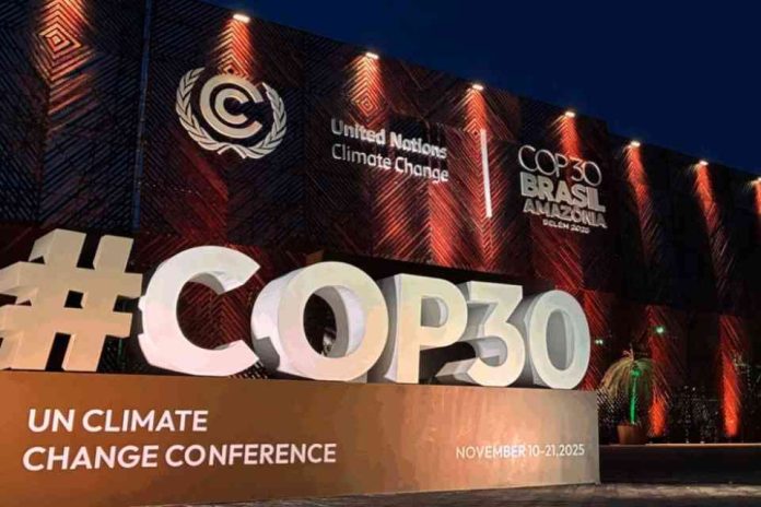 COP30, una nueva investigación muestra el camino a seguir para la acción de los inversores climáticos