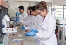 CREAS liderará desarrollo de tecnologías para una industria alimentaria