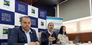 Consejo Ciudad Puerto espera antes de fin de año resolución favorable para extender Ruta Interportuaria hasta terminal de San Vicente