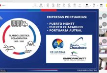 Emporcha destaca avances en nueva sesión de logística colaborativa de la macrozona sur-austral