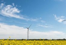 La industria del hidrógeno verde en la región de Magallanes podría generar hasta un 13% del H2V mundial