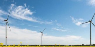 La industria del hidrógeno verde en la región de Magallanes podría generar hasta un 13% del H2V mundial