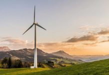 La sostenibilidad no está muerta: CEOs, consumidores y empresas la convierten en resultados concretos