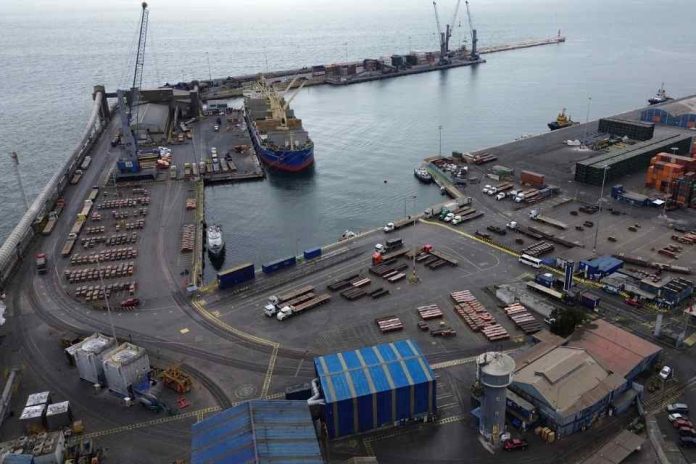 Ley de Cabotaje: iniciativa que moderniza el transporte de carga naviero está pronto a entrar en vigencia