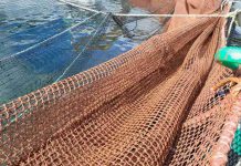 Los avances de Garware en redes para acuicultura: Innovación que protege