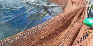 Los avances de Garware en redes para acuicultura: Innovación que protege