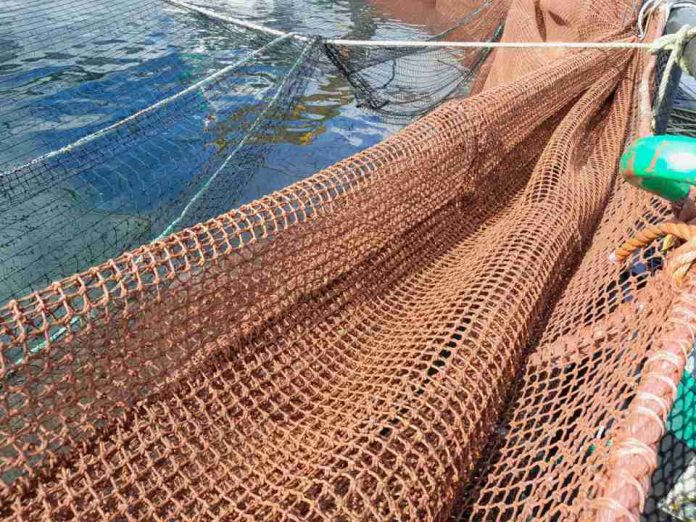 Los avances de Garware en redes para acuicultura: Innovación que protege