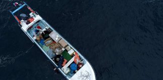 Sectores de la pesca artesanal celebran recomendación del Comité Científico de aumentar la veda de la merluza austral