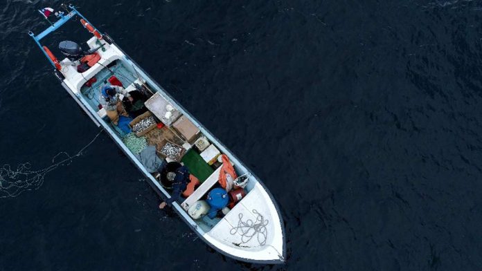 Sectores de la pesca artesanal celebran recomendación del Comité Científico de aumentar la veda de la merluza austral